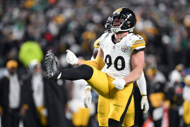Steelers Watt Football
